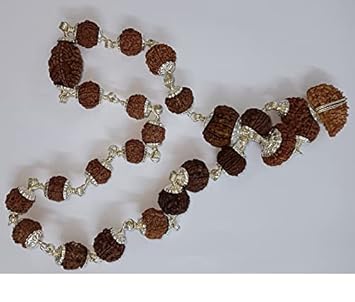 The Gallery Of Gemstones Natural Nepali Rudraksh Bead with Silver Capping Sarva Siddha Mala Jaap Rosary Pure 1 to 14 mukhi Gauri Shankar Ganesh Rudraksha Beads Original Certified by Lab for Men Women