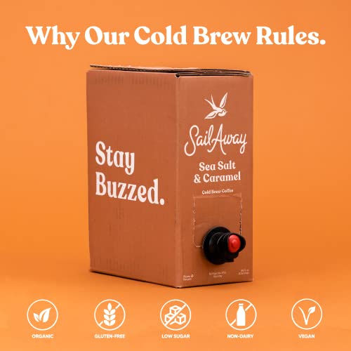 Sail Away Coffee Cold Brew Coffee Box Taps- Less Acidic Coffee Beverages | 120Mg Caffeine, Gluten Free, Organic, Keto, Sea Salt & Caramel, 96 Fl. Oz. #TOP2