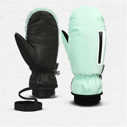 pXL[O[uAVO{[hƃ_u{[hAhAϖՐAwZp[gAg ܁A~gO[ALAXL