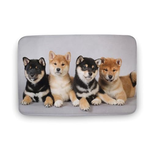  TGh   oX}bg z/唻 փ}bg  O    ~ Aj LN^[ @}bg   ʏ