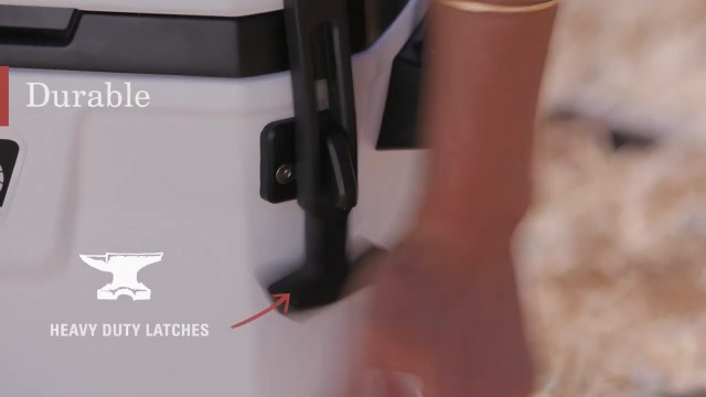 Coleman 28-Quart Cooler