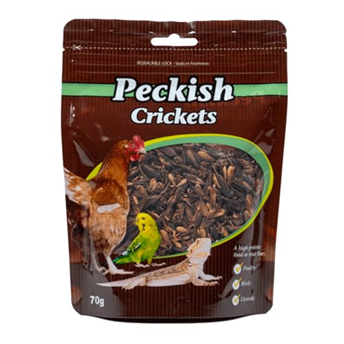 lizard food