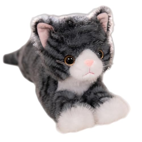 BIBAPUAȎqLʂݕ - LELEgEOєLoG[Vbӂӂ炩NbVbnYQbLbYEƂ̑baEzf[Mtg (C,40CM) [sAi]