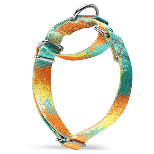 Dazzber Martingale Collier pour chien – Série de motifs colorés de peinture à l'huile – Ne tire pas - Collier doux et soyeux pour chiens de taille moyenne et grande (taille M, 2,5 cm de large, déserts