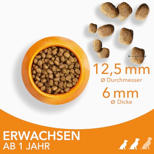 IAMS Hundefutter trocken mit Huhn - Trockenfutter für Erwachsene Hunde ab 1 Jahr, geeignet für kleine & mittelgroße Hunde, 12 kg