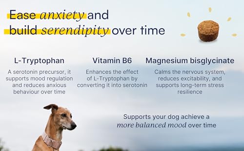 Calming Chews for Dogs - With L-Theanine, L-Tryptophan, Magnesium Bisglycinate - More at Ease at Home and Outdoors - Anxiety Relief, Focus & Mental Balance - Relaxing Complex - Image 6