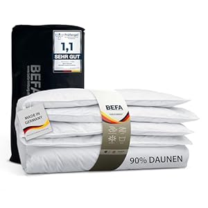 Befa Natur All Year Daunendecke 200x200 cm