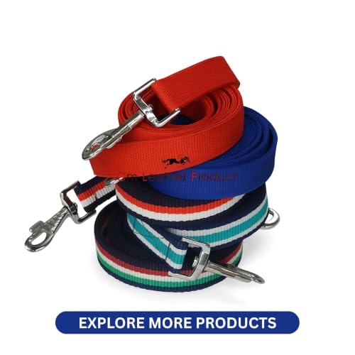 Image of Dog Collar with Padding | 01 Inch Width | Nylon Padded Collar | Easy to Clean | Best for Activities Like Walking, Training, Running and More (Black)
