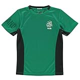 Color de bloque Rugby World Cup Camiseta de poliéster para niño, cuello redondo y manga corta. Irlanda. 13 años