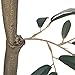 Vickerman 6' Artificial Potted Olive Tree - Olive Plant with 777 Olive Leaves and 57 Decorative Fake Olives - Tall Green Silk Potted Artificial Indoor Tree- Home Office Decor