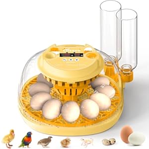Egg Incubator for Hatching Chicks, Automatic Egg Turner Holds 12 Eggs, Smart Incubator 360° Clear Window with Temperature and Humidity Display Egg Candler for Small Poultry Ducks Quails Eggs