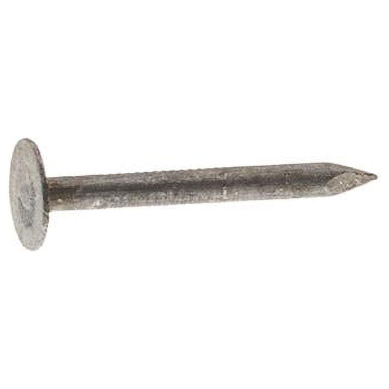 1.75 in. Roofing Electro-Galvanized Steel Flat Head Nail Gray - 5 lbs - Pack of 6