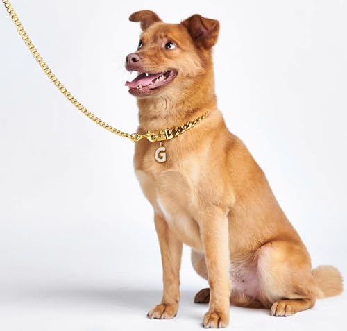 Image of Golden Heavy Weight Diamond Cut (Medium) Dog Gold Chain 160 cm (Golden)