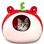 Red Frog