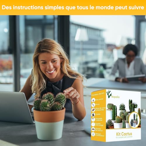 NOPALIA® Kaktus-Set – Mini-Kaktus-Set – Mini-Kakteen – ausgefallene Geschenkidee – Zimmerpflanze – Set bereit zum Wachsen – Garten im Innenbereich – Bürodekoration – Sukkulenten