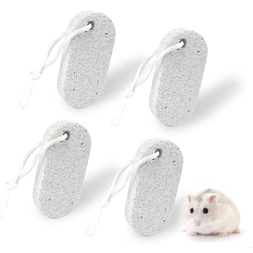 LINISITING 4 Pcs Pet Teeth Grinding Stones, Dog Rocks, Hamster Chew Toys, Small Animal Pet Teeth Grinding Block Mineral Calcium Stone for Hamsters Parrot Chinchillas Rabbits