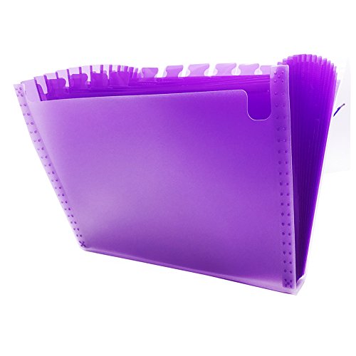 ACP Pasta Sanfona A4 com 12 Divisões, Roxo (Lilás), 235 x 330 x 35 mm