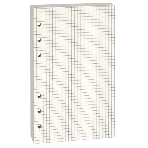 Lidwot A6 Rasterliniertes Nachfüllpapier, 100 g/m², dick, beige, keine Blätter (80 Stück), vorgestanzt, passend für A6 6-Ringbücher für Büro, Schule und Lehrer, doppelseitig ohne Durchlaufen