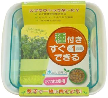 Amazon リッチェル スプラウト栽培セット かいわれ大根 野菜