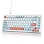 Salmon/White Switch