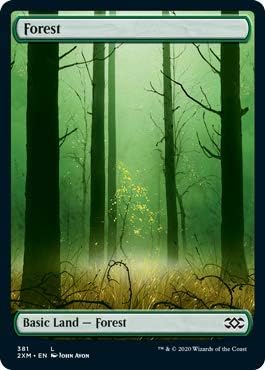 Forest (381)