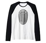 Educational Science Ideas