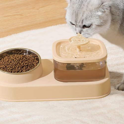 Ensemble de gamelles d'eau et de nourriture pour chat et petit chien