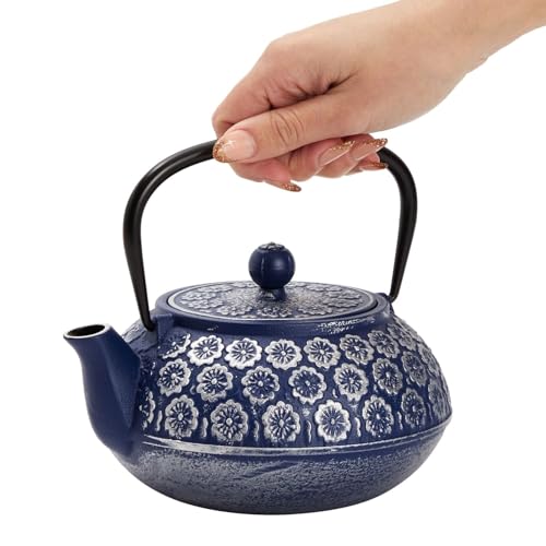 Cast Iron Teapot