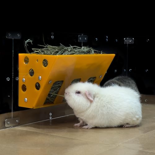 GuineaLoft™ Hay Feeder - The Ultimate Hay Feeder for Small Pets Like Guinea Pigs, Rabbits and Chinchillas. Designed & Made by Seasoned Owners Who Tried Everything Out There - Guinea Loft Exclusive - image 8