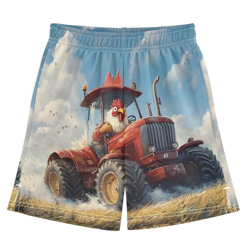 panksolu boy Shorts Cock Driving A Tractor Rooster Youth Athletic Shorts for Boys and Girls 10-11 Y Multicolor