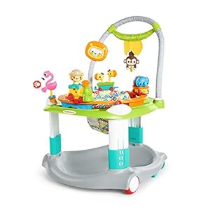 Bright Starts, Ready to Roll mobiel speelcenter, verrijdbaar, 360° draaibaar en in hoogte verstelbaar