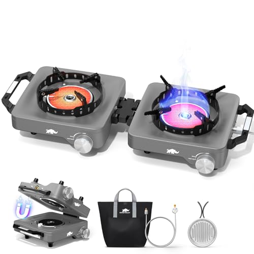 2 Propane Burners Camping Stove, 30,000 BTU Folding Camp Stove with Windproof Grates and Frying Pan,Portable Camping Stoves with Carrying Bag,Camping Essentials for Tailgating/Grilling/Coffee,Titanium