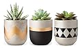 Mkono Cement Succulent Planter Set of 3 Concrete Plant Pots Modern Flower Pots Indoor for Cactus Herb or Small Plants Home Decor Gift Idea (Plants NOT Included), 4"