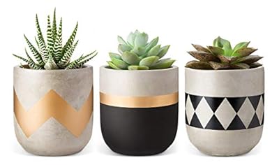 Mkono Cement Succulent Planter Set of 3 Concrete Plant Pots Modern Flower Pots Indoor for Cactus Herb or Small Plants Home Decor Gift Idea (Plants NOT Included), 4"