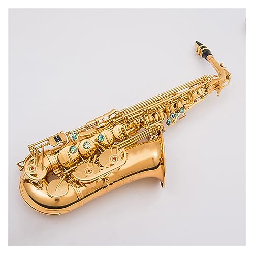 NVbNS[h AgTbNX 802L[^Cv ^J{fB AgTbNX }EXs[Xti TbNX Zbg