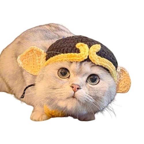 Iȃybg̖XqLwbhMAo[Xf[RX`[j҂݂̖Xqjbgt[hbONX}XnbgjbgLRX`[ANZT[