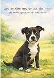 Coco, der kleine Hund, der sich alles traute: Eine Mutmachgeschichte für kleine Herzen