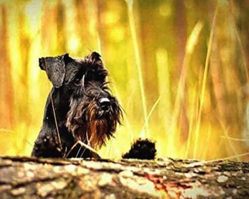 Kit broderie point de croix imprimé 11CT canevas schnauzer 40x50 cm
