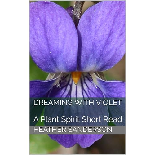 Dreaming with Violet (Authored by Heather Sanderson) episode artwork