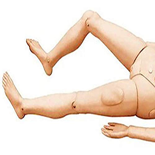 JTYZWLRBY Teaching Model Scientific Care Manikin, Female Nursing Training Simulation Model Care Simulator Male and Female Nursing Manikin Human Anatomical Model for Nursing Training - Image 3