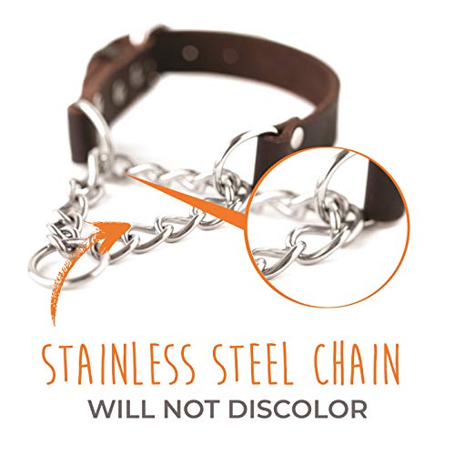 Mighty Paw Martingale Dog Collar - No Pull Design - Stainless Steel Chain - Limited Chain Cinch Training - Brown Leather Martingale Training Collar - Large Size - Image 4