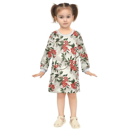 Fresh Rowanberry Fruit Silver Baby Girls Halloween Dresses Stylish Little Kids Playwear 2T4