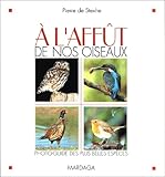 A L'Affut De Nos Oiseaux. Photo-Guide Des Plus Belles Especes