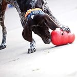 KONG Wobbler - Interactive Dog Toy for Treat Dispensing - Dog Slow Feeder for Healthy Eating - for Medium/Large Dogs 4