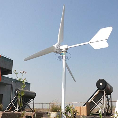 1000W 2000W 3000W Horizontal Wind Turbine 48v 96v 110V 120V 220V Generator for Home Use Free Energy Wind Power Windmill (120V, 1000W)