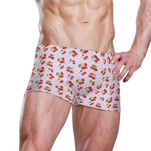 Cherry Fruit Pink Plaid Mens Swim Trunk Swimwear Bathing Suit Swim Brief Square Leg Board Short S B04047133