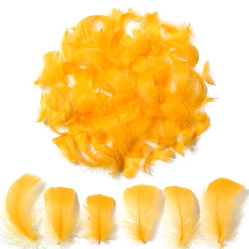 300pcs Golden Yellow Feathers 2-3 Inches Bulk Feathers for Crafting Dream Catcher Accessories Art Projects DIY Crafting Handi Crafts Balloon Fills Party Decoration (Golden)