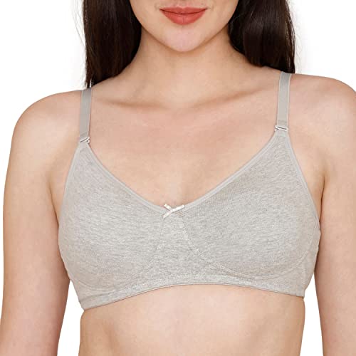 Image of Rosaline Cyber Grove Everyday Double Layered Non Wired 3 /4th Coverage T-Shirt Bra (Pack of 2) for Women - Red Grey
