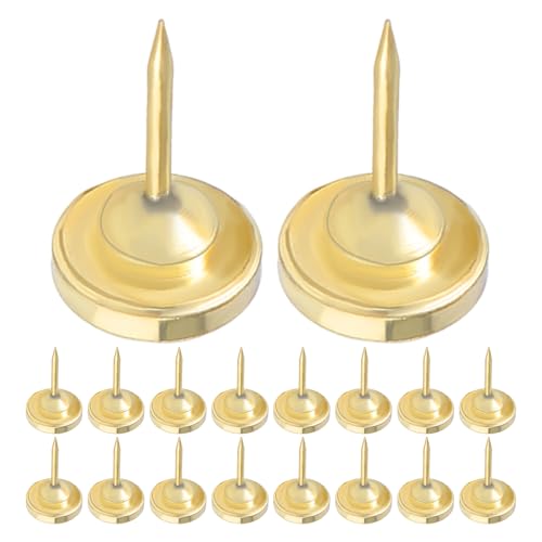 WEKAMOS 20 G݂e G݂̒B ʐ^tbN ʐ^nK[ ǂ̃^bN z f^bN t[݂艺tbN 