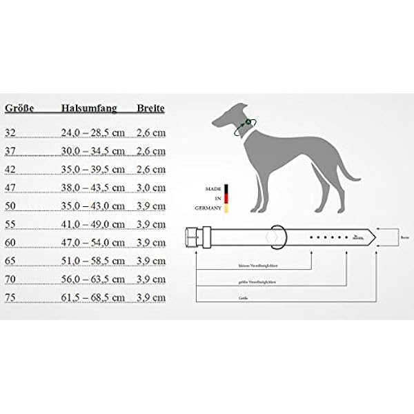 Hunter Swiss Nickel - Collare in pelle chiara, 35,0-43,0 cm, colore: Natura/Beige